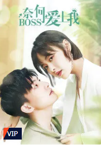 Well Staged Love (2022) – บอสแล้วไง ผมรักแล้วกัน (ซับไทย)