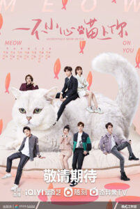 Accidentally Meow On You (2022) – เหมียวเหมียวเกี่ยวใจให้เจอรัก (ซับไทย)