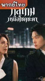 Irreplaceable กลเกมเหนือโชคชะตา (พากย์ไทย)